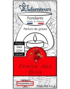 Fraise des Bois